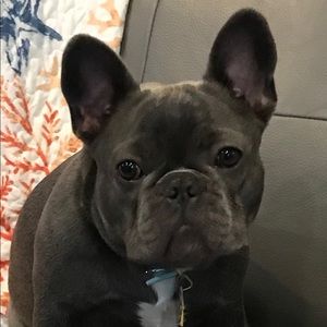 Meet your Posher, Carly